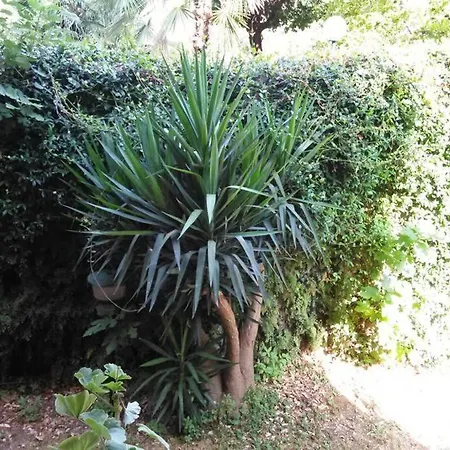 Lovely Close To Stores And Transportation